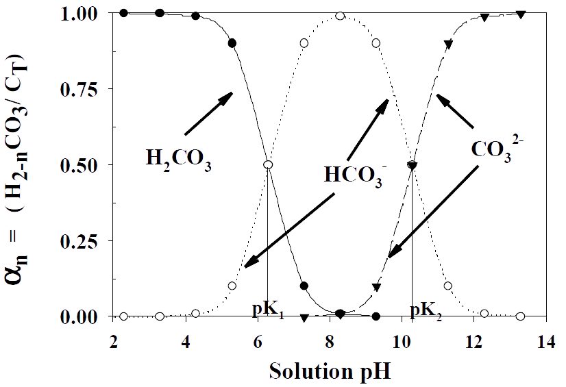 Carbonate Speciation